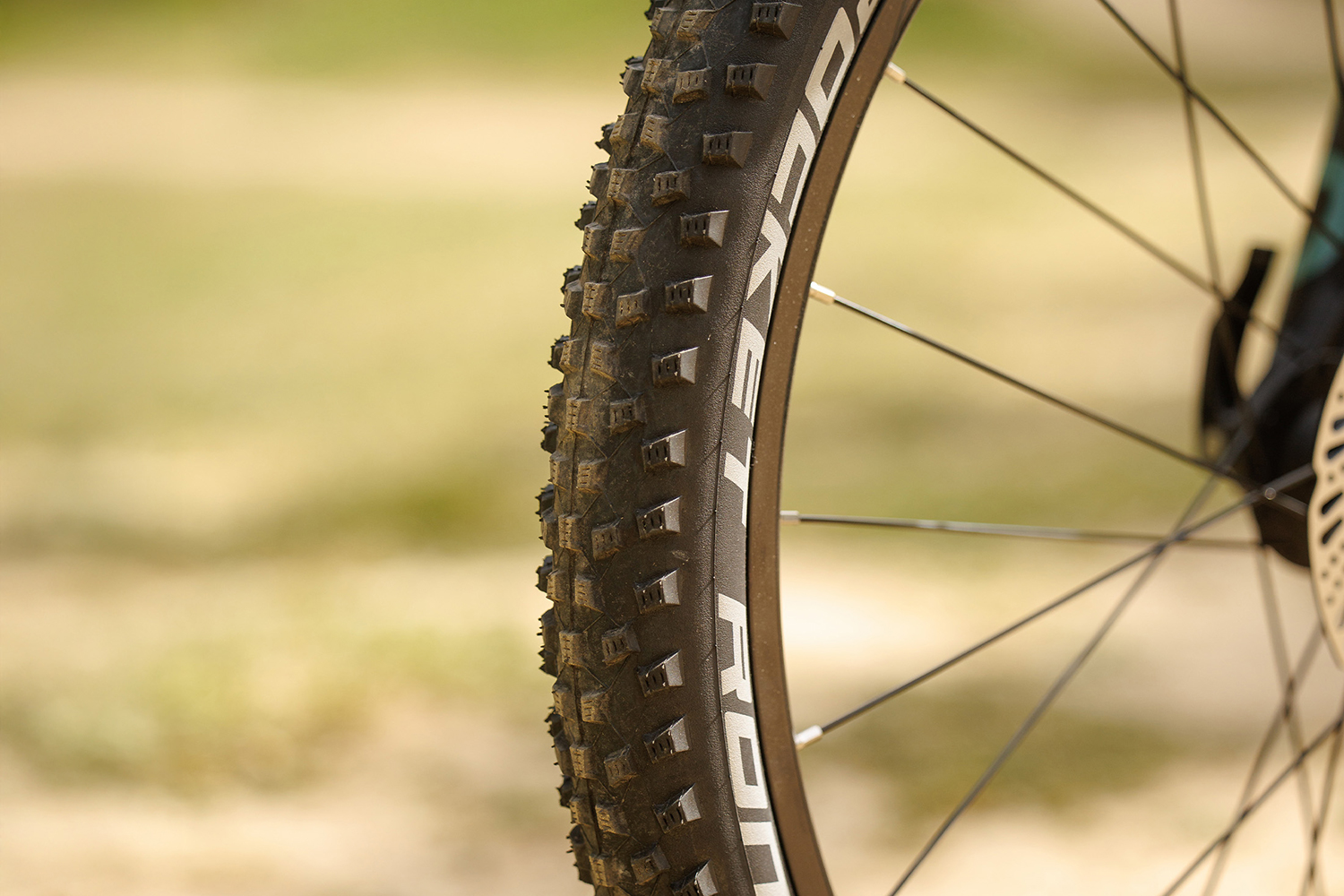 ZEG_526502239931_Mode_29-(1)
